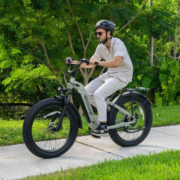 ranger step thru 2.0 electric bike