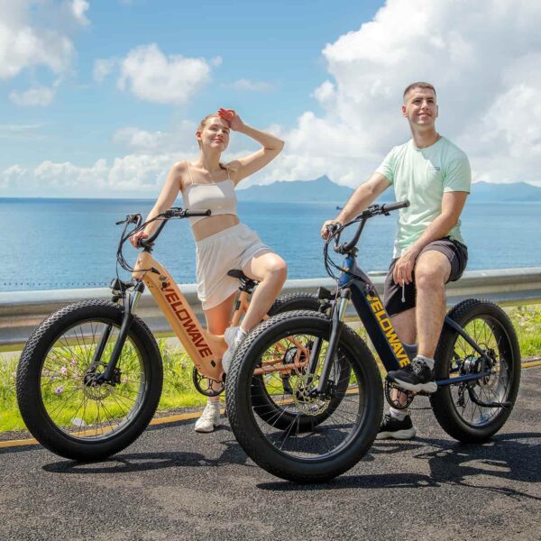 rover step thru electric bike