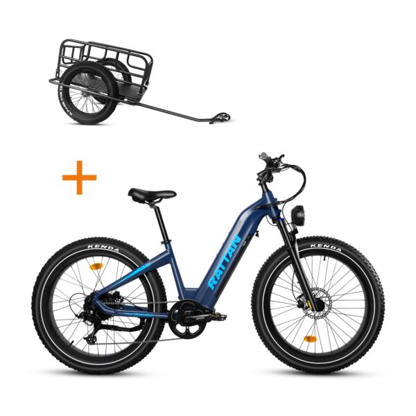 rattan sequoia electric fat tire bike