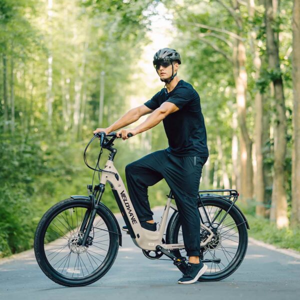 breeze t torque sensor electric bike