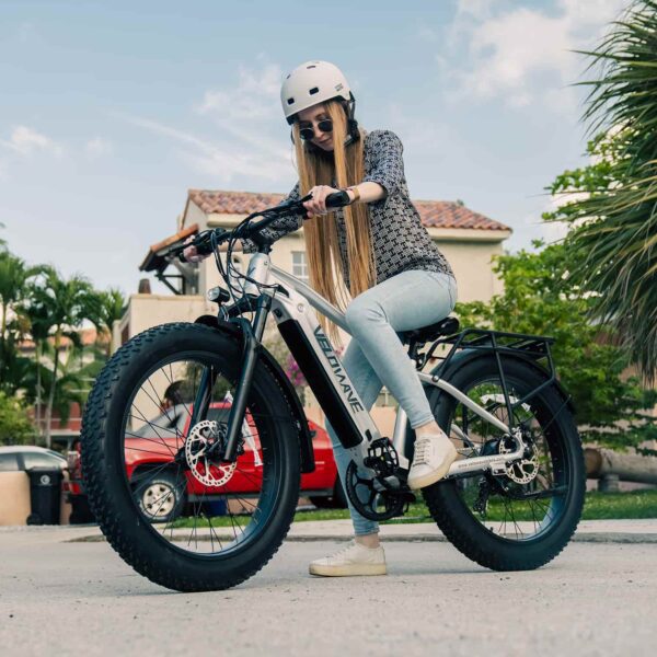 ranger 2.0 fat tire all terrain electric bike