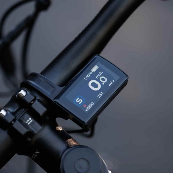 forest sm mtb