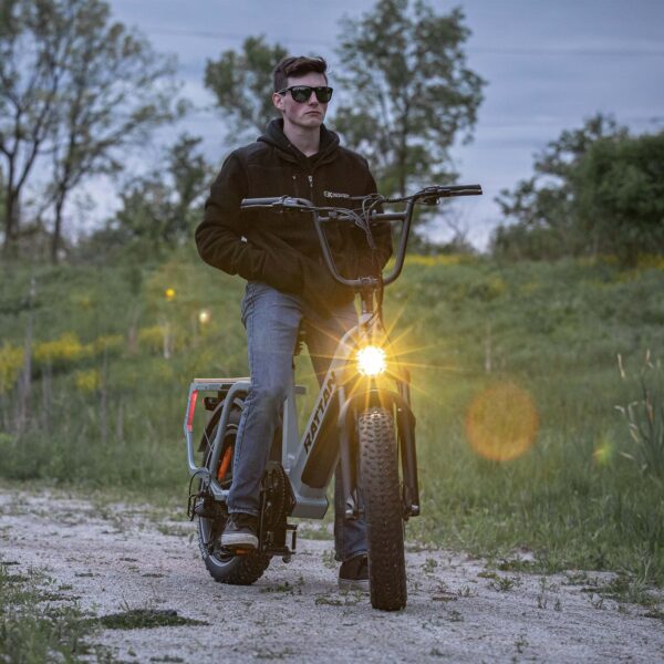 rattan quercus electric fat tire bike