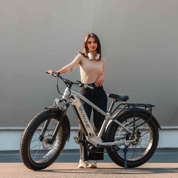 ranger 3.0 fat tire all terrain electric bike