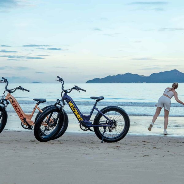 rover step thru electric bike