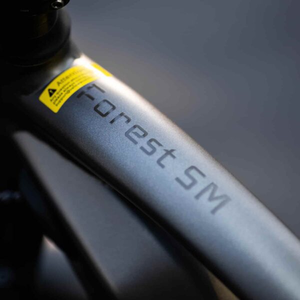forest sm mtb