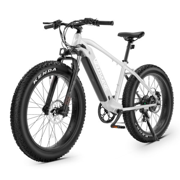 ranger fat tire electric bike