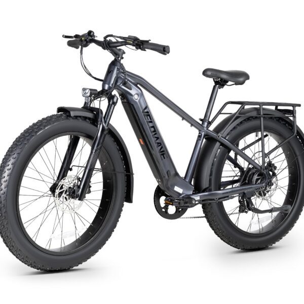 ranger 3.0 fat tire all terrain electric bike