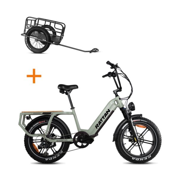 rattan quercus electric fat tire bike