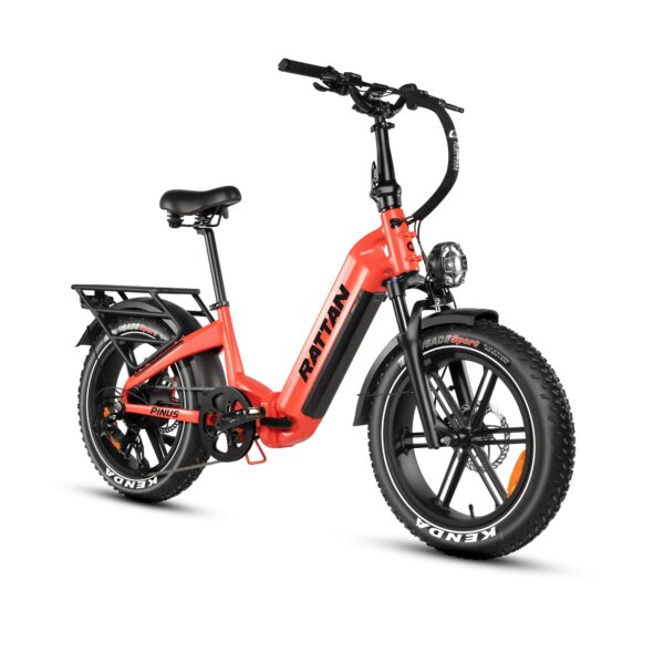 rattan pinus electric fat tire bike