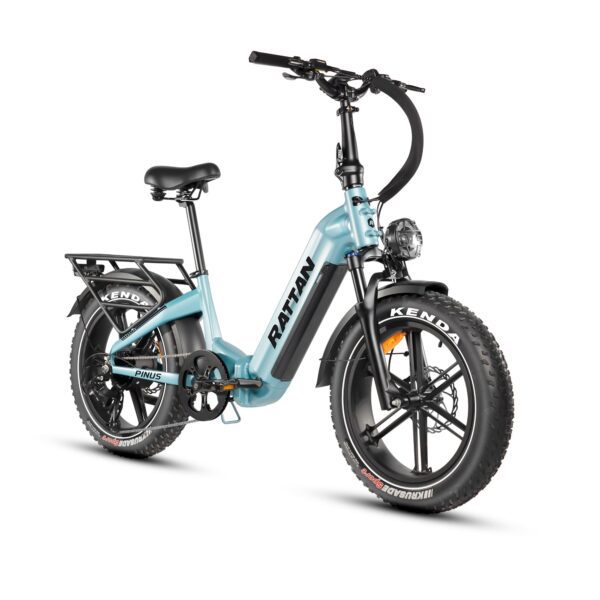 rattan pinus electric fat tire bike