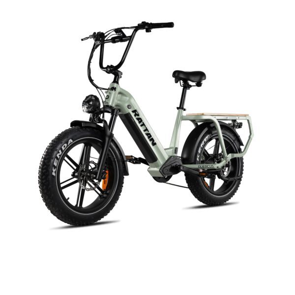 rattan quercus electric fat tire bike