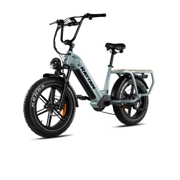 rattan quercus electric fat tire bike