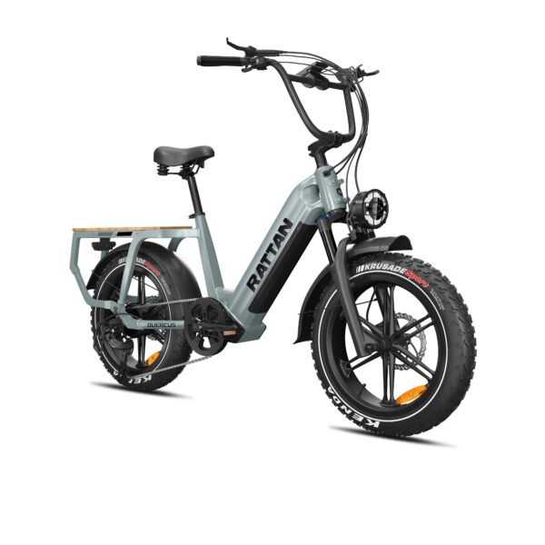 rattan quercus electric fat tire bike