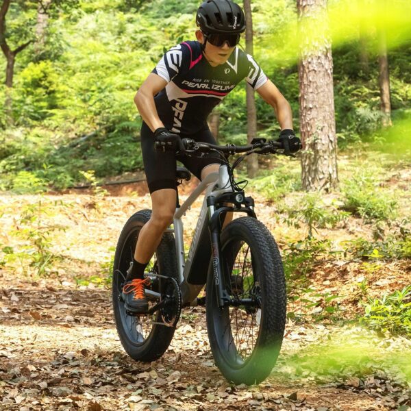 ranger fat tire electric bike
