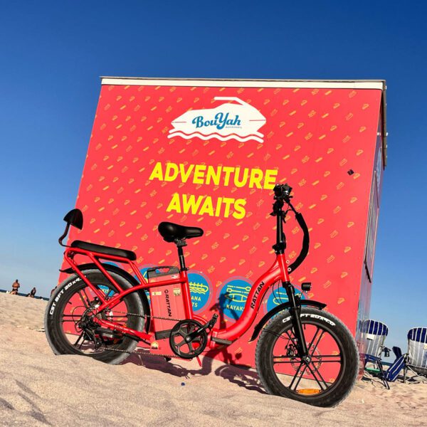 rattan lf ultra electric bike