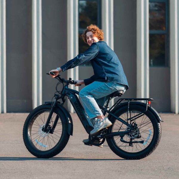 ranger 3.0 fat tire all terrain electric bike
