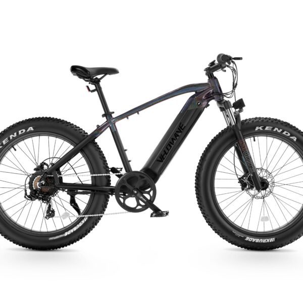 ranger fat tire electric bike