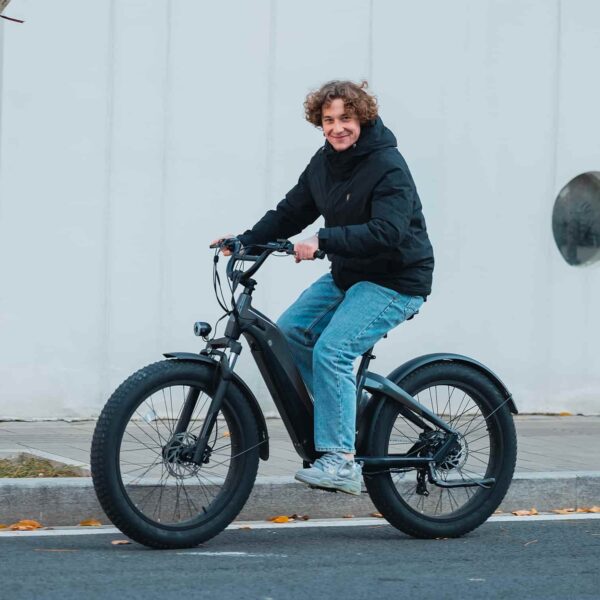 grace 2.0 step thru electric bike