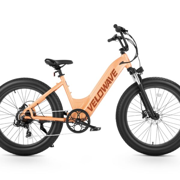 rover step thru electric bike