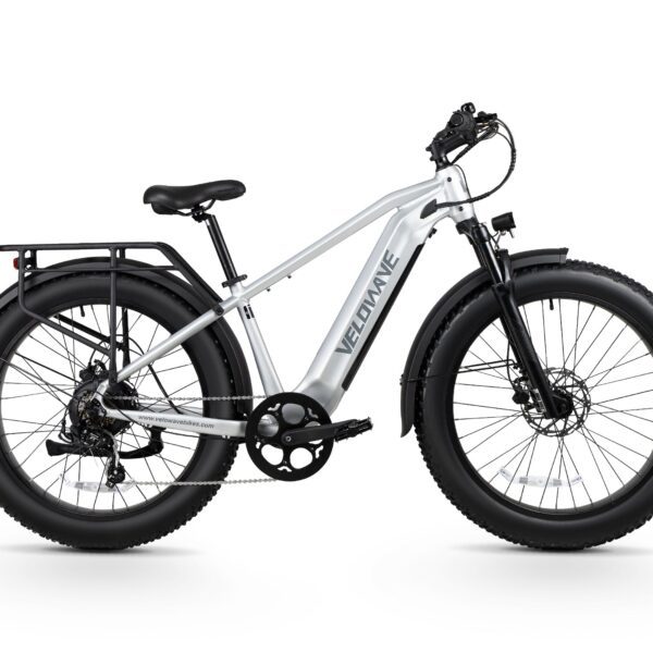 ranger 3.0 fat tire all terrain electric bike