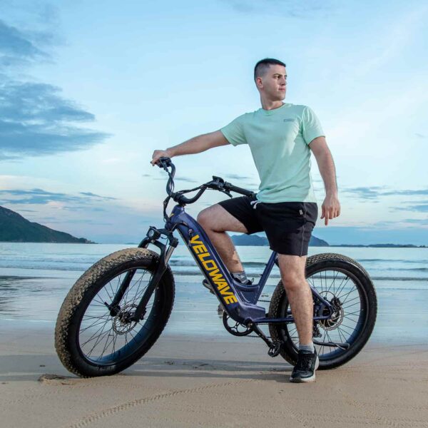 rover step thru electric bike