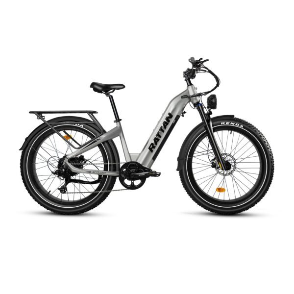 rattan sequoia electric fat tire bike