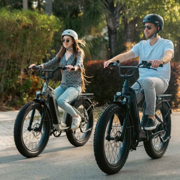 ranger step thru 2.0 electric bike
