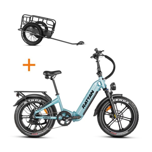 rattan pinus electric fat tire bike