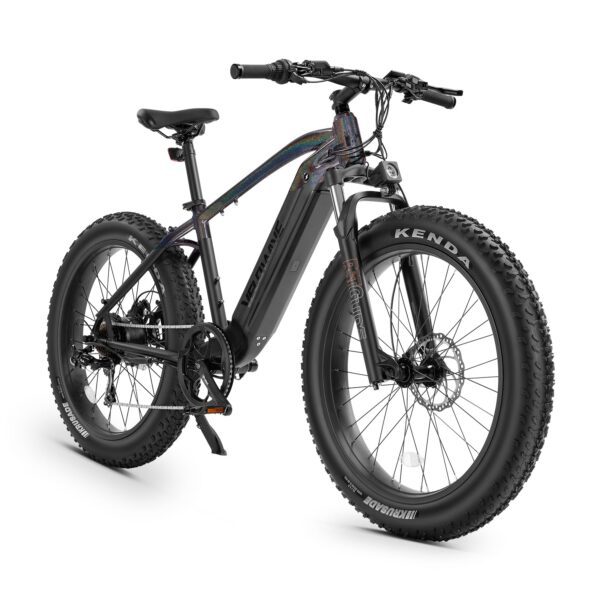 ranger fat tire electric bike