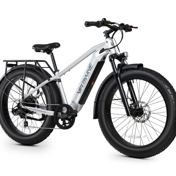ranger 3.0 fat tire all terrain electric bike