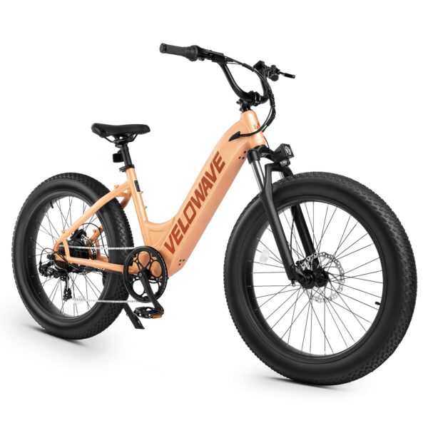rover step thru electric bike