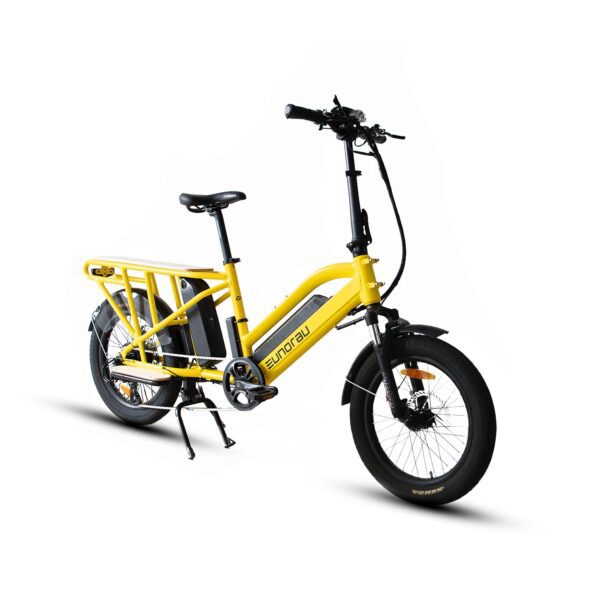eunorau g30 cargo 48v/20ah 500w dual battery cargo electric bike