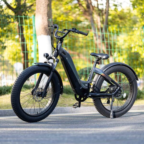 grace 2.0 step thru electric bike