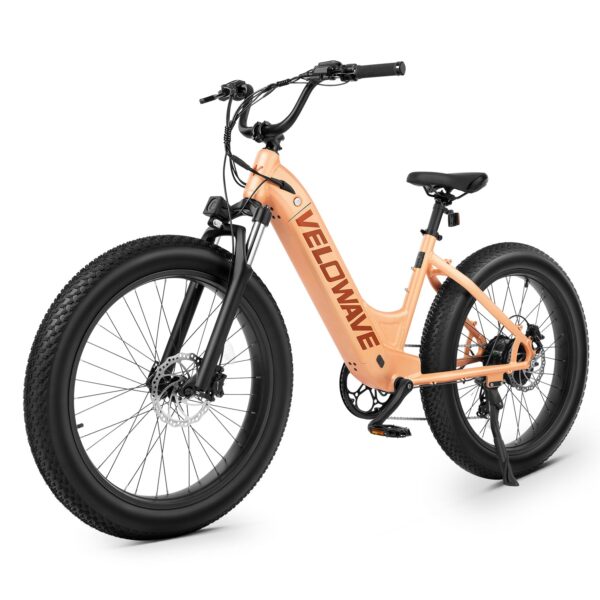 rover step thru electric bike