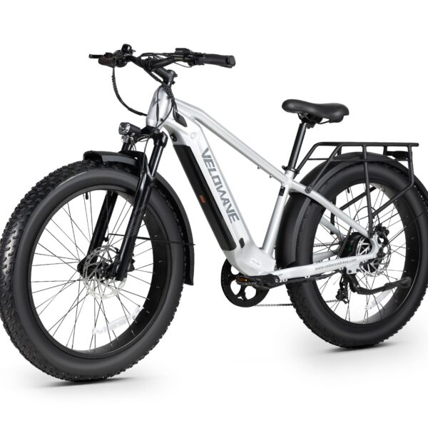 ranger 3.0 fat tire all terrain electric bike