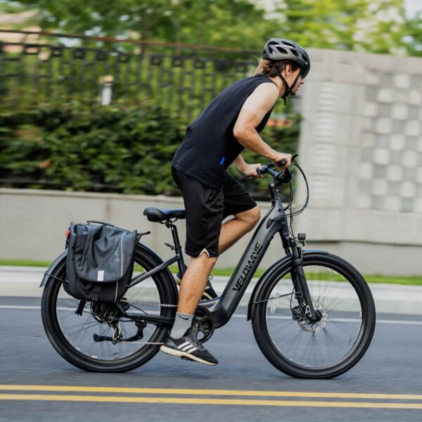 breeze t torque sensor electric bike