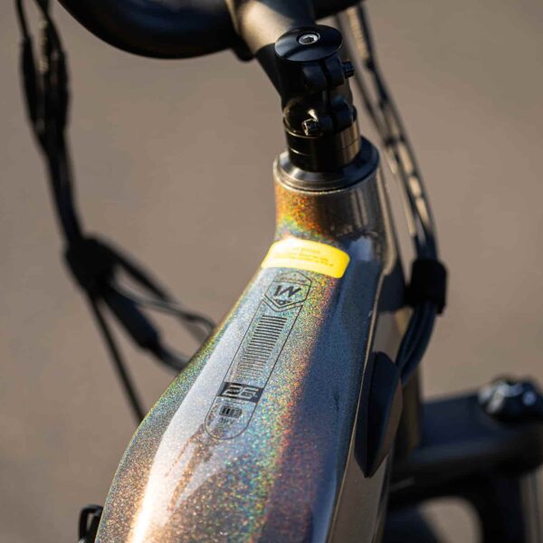 grace 2.0 step thru electric bike