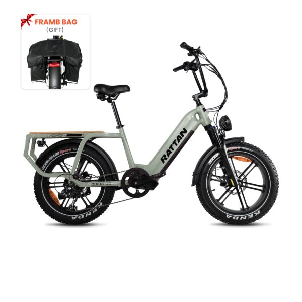 rattan quercus electric fat tire bike