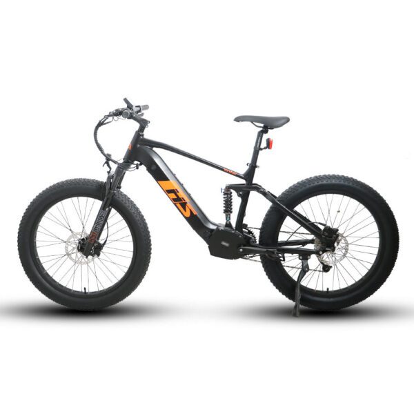 2 x eunorau fat hs 48v/14ah 1000w fat tire electric mountain bike