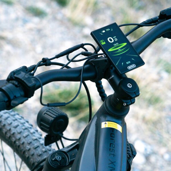 forest xm mtb