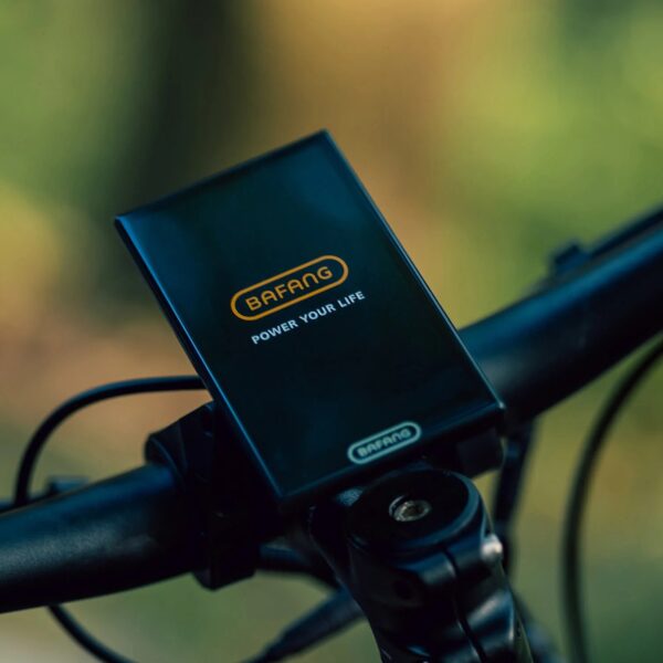 forest xm mtb