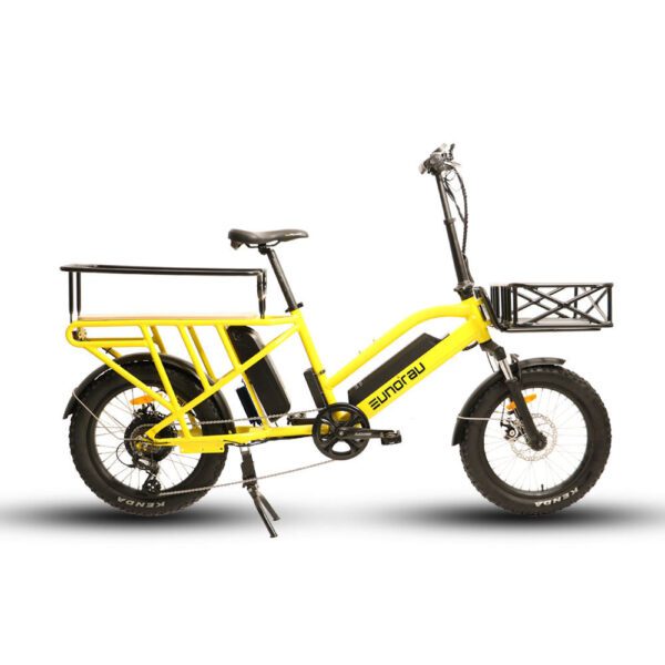 eunorau g30 cargo 48v/20ah 500w dual battery cargo electric bike