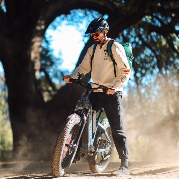 rattan sequoia electric fat tire bike