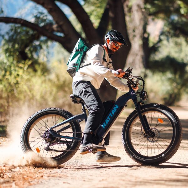 rattan sequoia electric fat tire bike