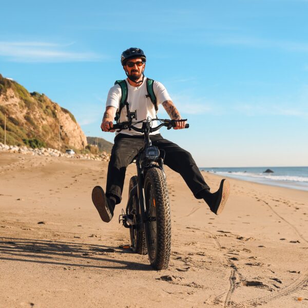 rattan sequoia electric fat tire bike