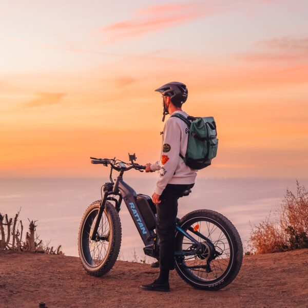 rattan sequoia electric fat tire bike