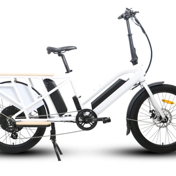 eunorau max cargo 48v/11.6ah 750w dual battery electric cargo bike