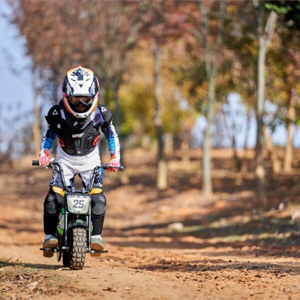 mototec 24v/9ah 250w electric mini bike