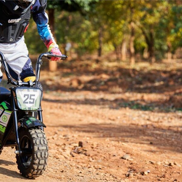 mototec 24v/9ah 250w electric mini bike